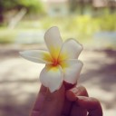 สมาชิกหมายเลข 2703520