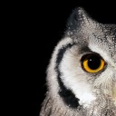 สมาชิกหมายเลข 3117037