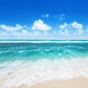 สมาชิกหมายเลข 3112195