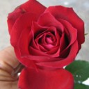 คุณย่าแอบ