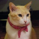 แม่ของเต้าหู้