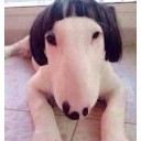 สมาชิกหมายเลข 1911285