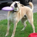 สมาชิกหมายเลข 2308638