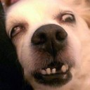 สมาชิกหมายเลข 3121948