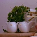 ยี่สิบหกมีนา