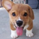 สมาชิกหมายเลข 1073015