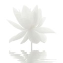 แก้วมณีโชติรส