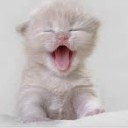 สมาชิกหมายเลข 1170497