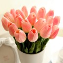 สมาชิกหมายเลข 3113137