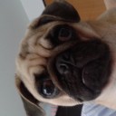 น้อง ไข่ยำ