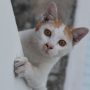 สมาชิกหมายเลข 705621