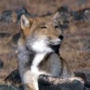 สมาชิกหมายเลข 880852