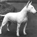 สมาชิกหมายเลข 1913674