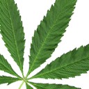 สมาชิกหมายเลข 2312249