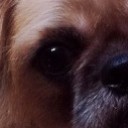 ลูกน้อง 1