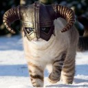 เหมียวลายพาดกลอน