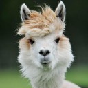 สมาชิกหมายเลข 1481925