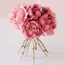 หมูน้อยลั้นล้า