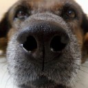 Mote เคิล จอร์แดน