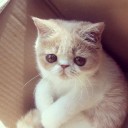 สมาชิกหมายเลข 1074172