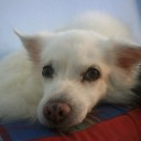 หวาดดีชาวโลก