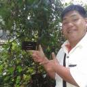 สมาชิกหมายเลข 1914401