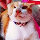 สมาชิกหมายเลข 831513