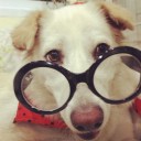 ไข่เจียวเลี้ยวเข้าซอย