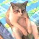 สมาชิกหมายเลข 1074791