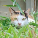 สมาชิกหมายเลข 2705344