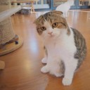 สมาชิกหมายเลข 3594193