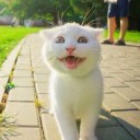 ผักแว่นริมคลอง
