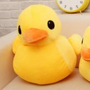 สมาชิกหมายเลข 2313882