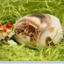 ความจริง...ชนะทุกสิ่งเสมอ