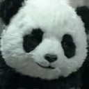 แพนด้าน้อยขอบตาดำ