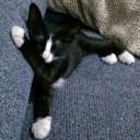 สมาชิกหมายเลข 1484011