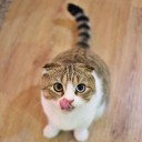 สมาชิกหมายเลข 2311762