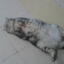 สมาชิกหมายเลข 2702419