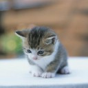 สมาชิกหมายเลข 2706359