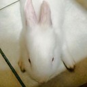 สมาชิกหมายเลข 2135647