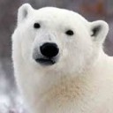 สมาชิกหมายเลข 2705166