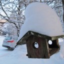 มาดามฟินน์