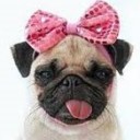 สมาชิกหมายเลข 1303491