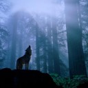 สมาชิกหมายเลข 3125707