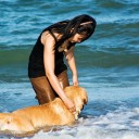 สมาชิกหมายเลข 706176