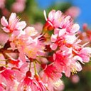 สมาชิกหมายเลข 706607