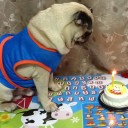 สมาชิกหมายเลข 1076846