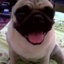 สมาชิกหมายเลข 1485914