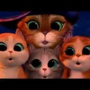 สมาชิกหมายเลข 2204419