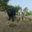 สมาชิกหมายเลข 2736373